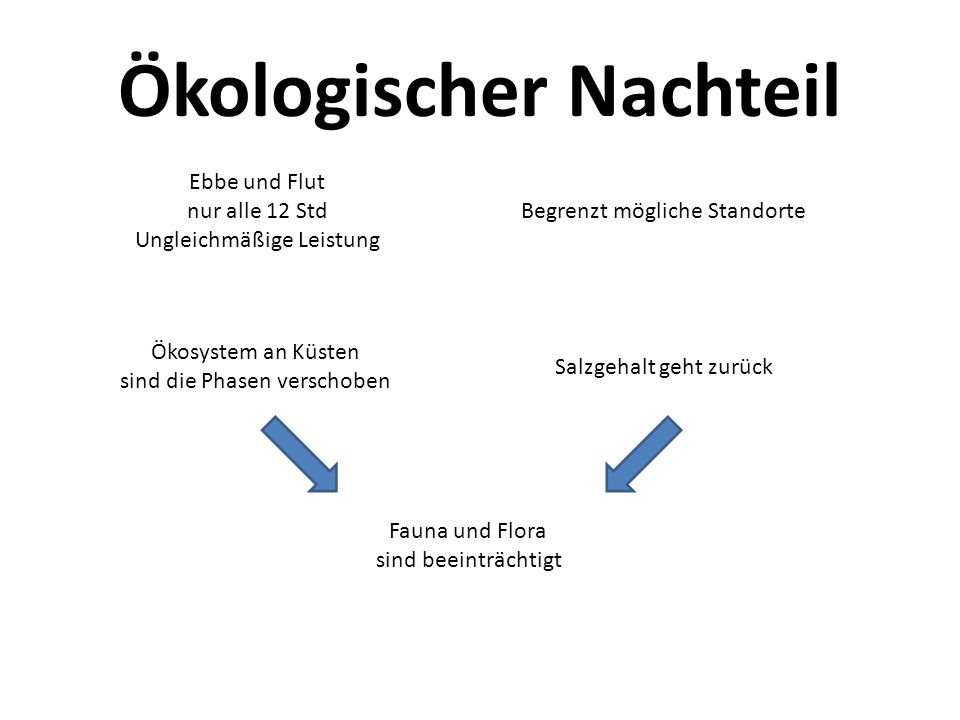 Schippmann ebbe und flut manual dexterity